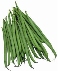 FAGIOLO FIN DE BAGNOL GR.100